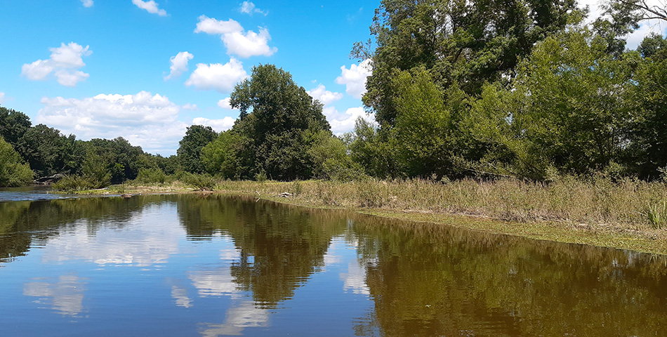 Rallye nature&nbsp;: &agrave; la d&eacute;couverte de la biodiversit&eacute; du Thouet