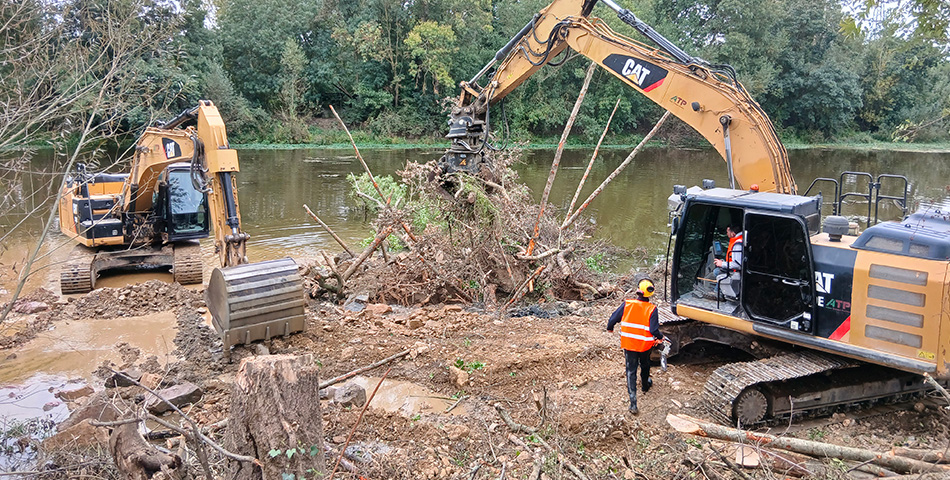Le bois, un alli&eacute; naturel pour la sant&eacute; de nos rivi&egrave;res