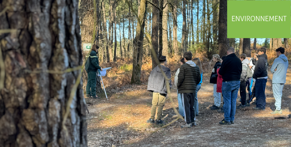 &Agrave; la d&eacute;couverte de la fili&egrave;re for&ecirc;t-bois : immersion pour les &eacute;l&egrave;ves du lyc&eacute;e Sadi Carnot