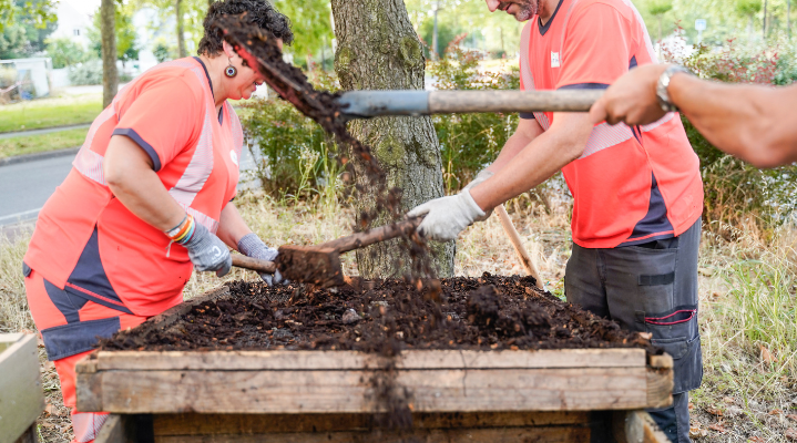 Donnez une nouvelle vie &agrave; votre sapin apr&egrave;s les f&ecirc;tes !