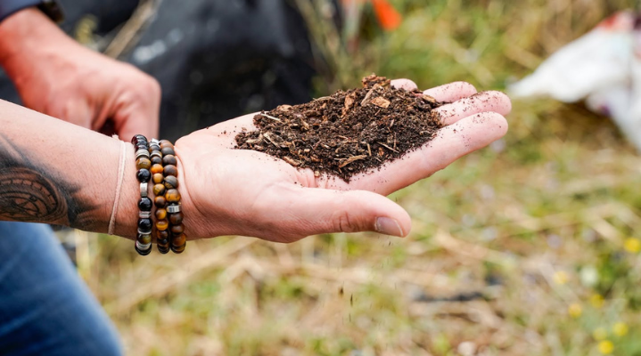 Lombricompostage : Offrez un coup de pouce &agrave; votre jardin et &agrave; vos plantes pour le printemps ! 