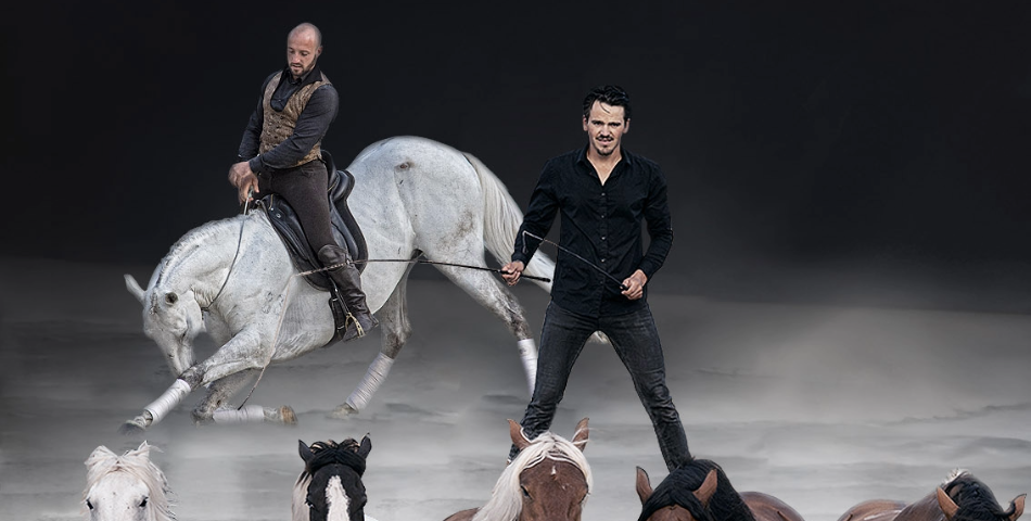 Spectacle &eacute;questre &laquo; La crois&eacute;e des r&ecirc;ves &raquo; &ndash; Un rendez-vous magique au Man&egrave;ge des &Eacute;cuyers